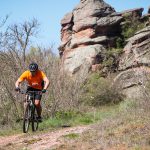 Rocks N'Roll 2017