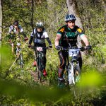Rocks N'Roll 2017
