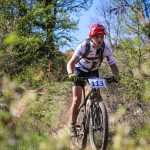 Rocks N'Roll 2017