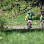 Rocks N'Roll 2017