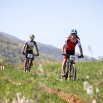 Rocks N'Roll 2017