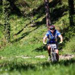 Rocks N'Roll 2017