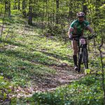 Rocks N'Roll 2017