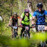Rocks N'Roll 2017