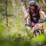 Rocks N'Roll 2017