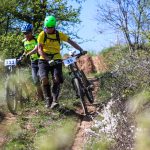 Rocks N'Roll 2017