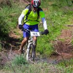 Rocks N'Roll 2017