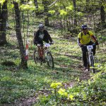 Rocks N'Roll 2017