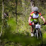 Rocks N'Roll 2017