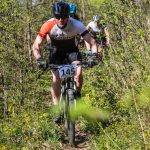 Rocks N'Roll 2017
