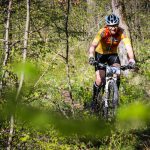 Rocks N'Roll 2017