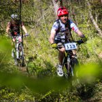 Rocks N'Roll 2017