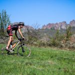 Rocks N'Roll 2017