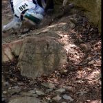 Shambhala Open Cup 2010