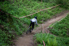 IMG_0737