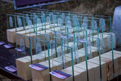 race-series-awards_01