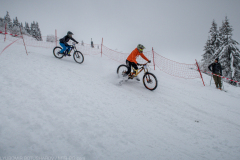 236_IMG_5868